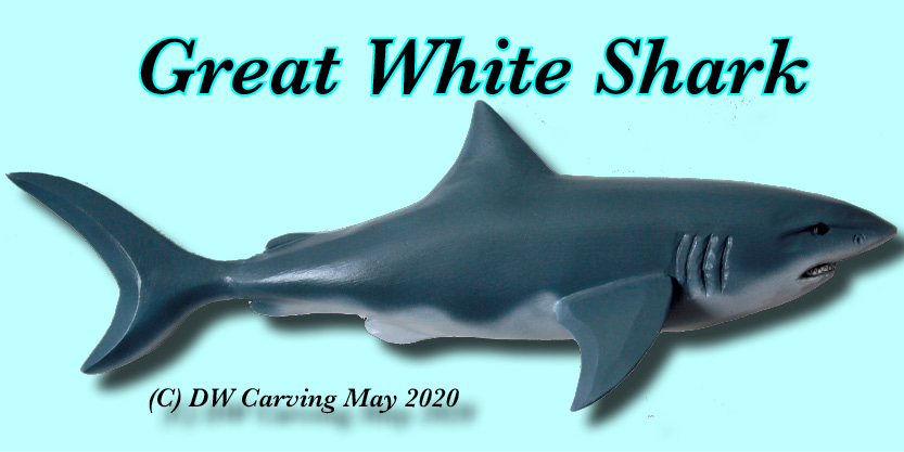 Carved Great White Shark, shark sculpture, wooden sculpture 